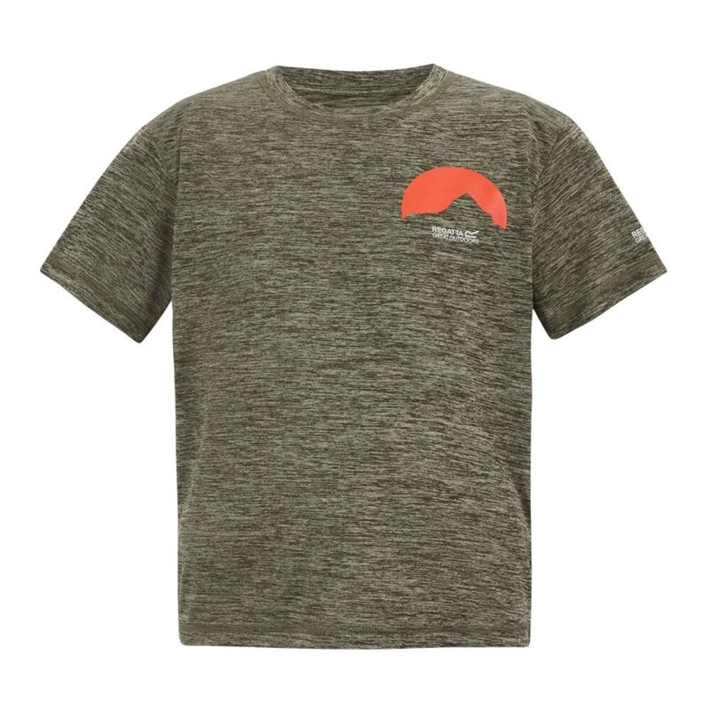Regatta Childrens/Kids Alvarado Back Print T-Shirt / Dark Khaki Marl